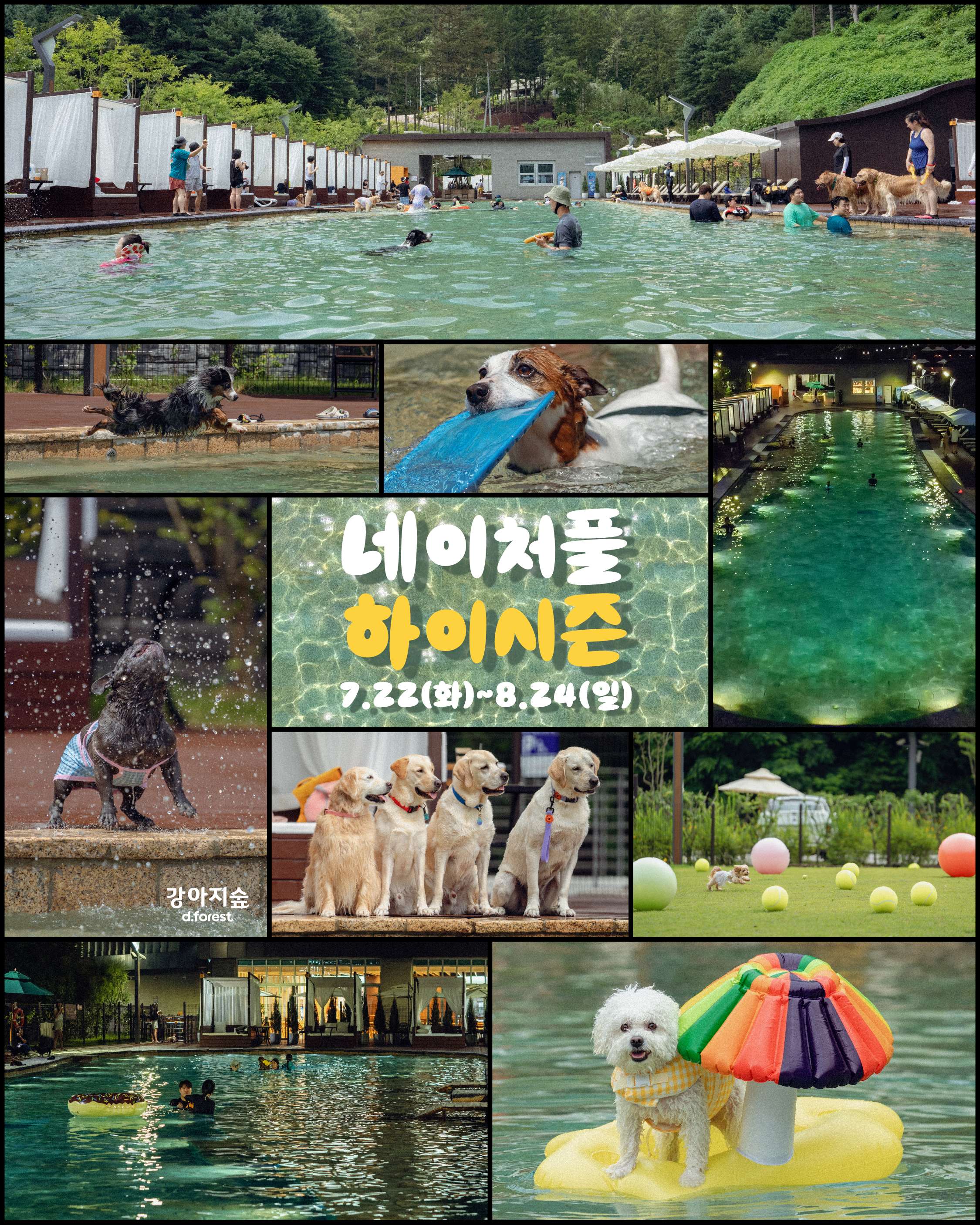 더존 로고