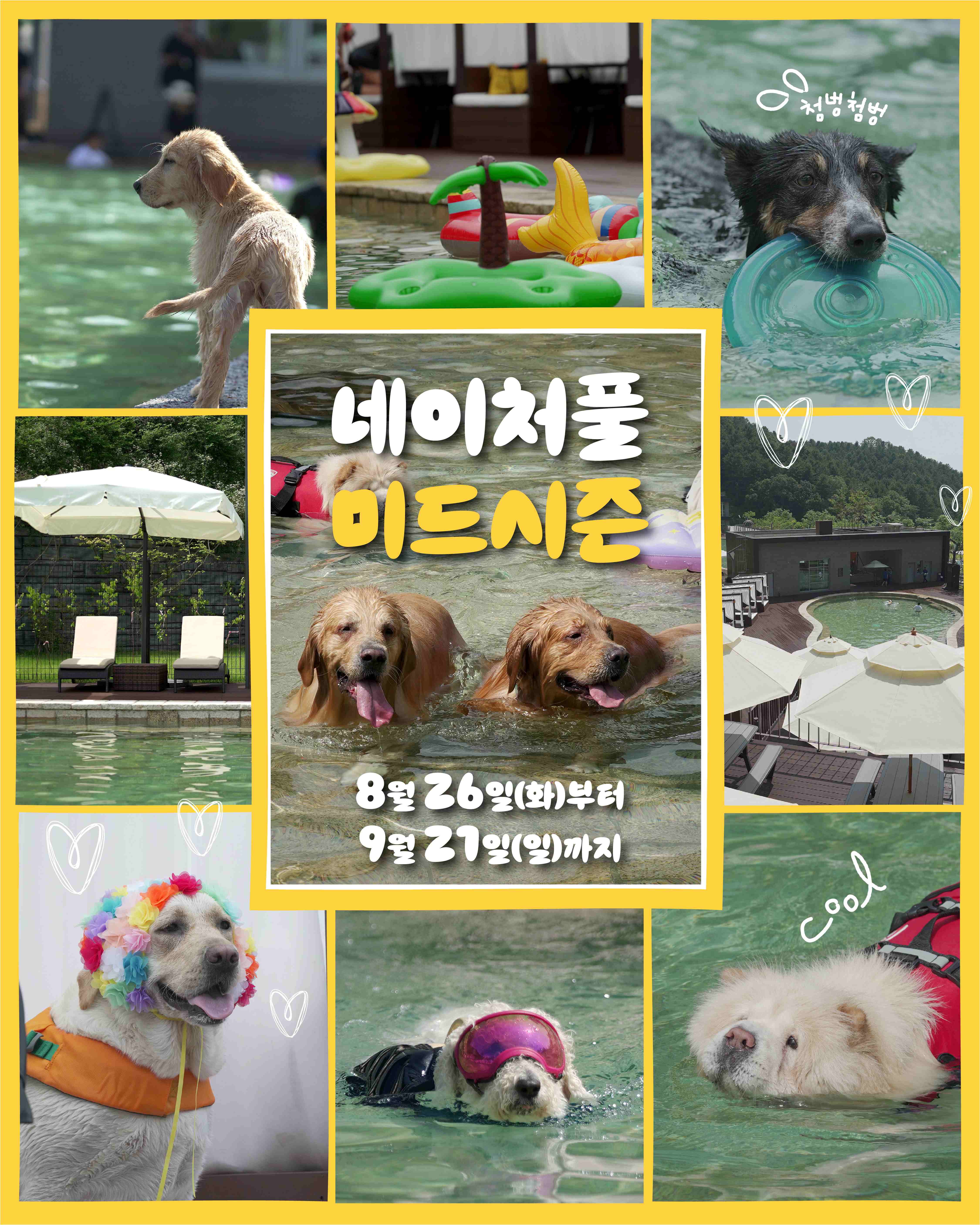 더존 로고