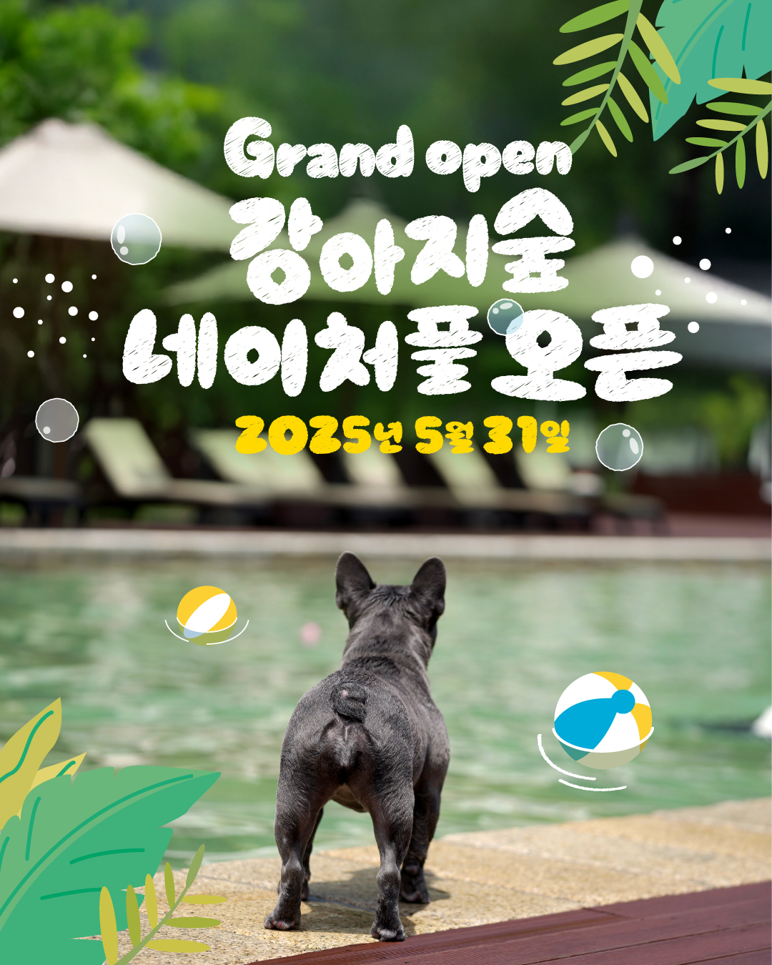 더존 로고